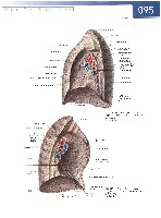 Sobotta  Atlas of Human Anatomy  Trunk, Viscera,Lower Limb Volume2 2006, page 102